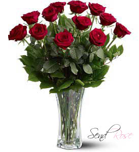 send 12 red roses