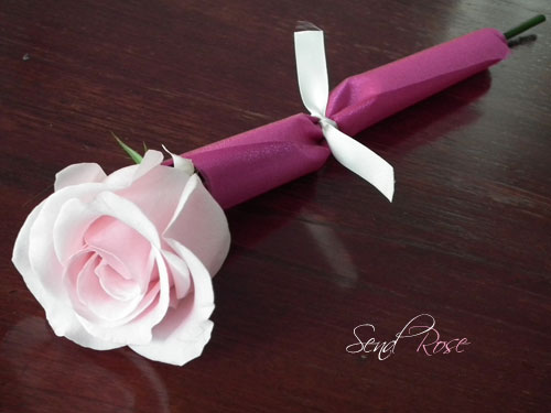 single pink rose